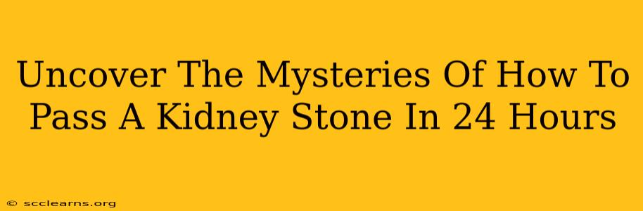 Uncover The Mysteries Of How To Pass A Kidney Stone In 24 Hours