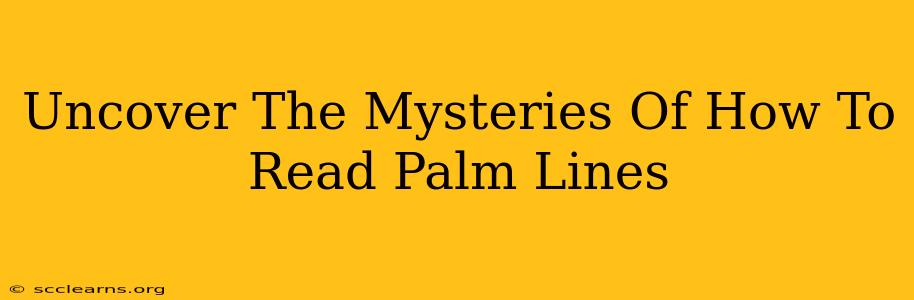 Uncover The Mysteries Of How To Read Palm Lines