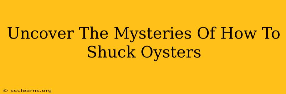 Uncover The Mysteries Of How To Shuck Oysters