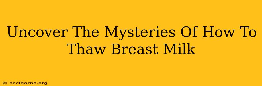 Uncover The Mysteries Of How To Thaw Breast Milk