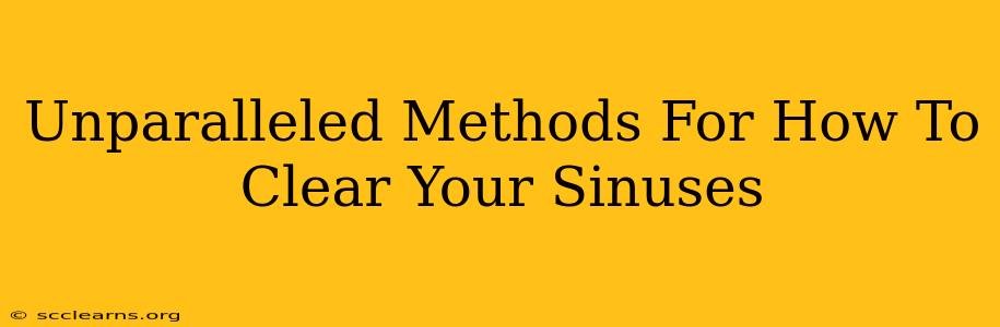 Unparalleled Methods For How To Clear Your Sinuses