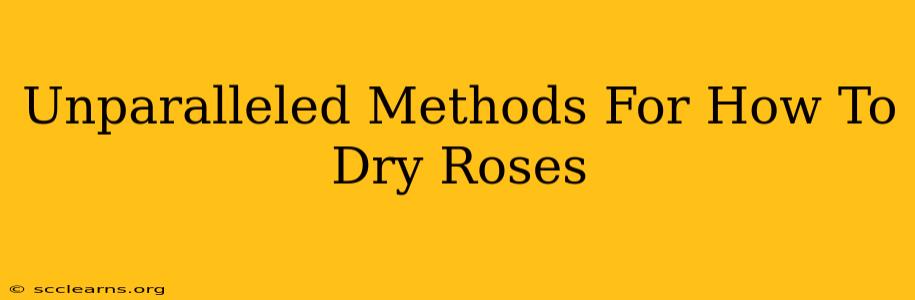 Unparalleled Methods For How To Dry Roses