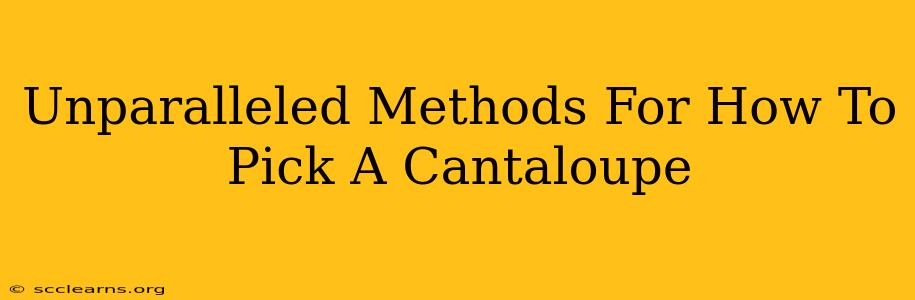 Unparalleled Methods For How To Pick A Cantaloupe