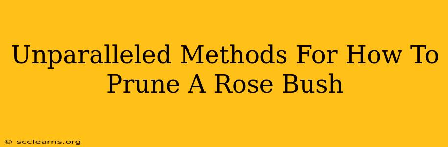 Unparalleled Methods For How To Prune A Rose Bush