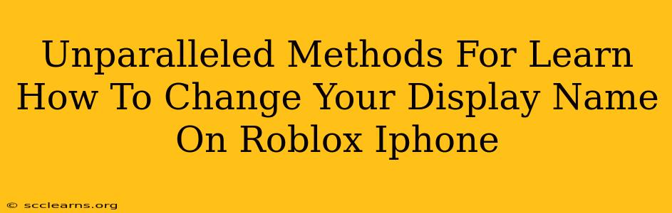 Unparalleled Methods For Learn How To Change Your Display Name On Roblox Iphone