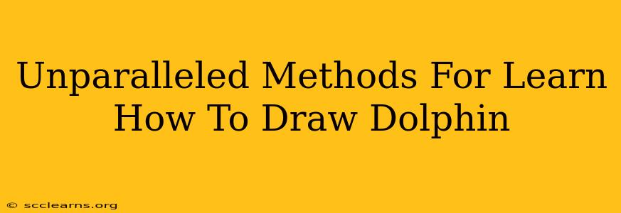 Unparalleled Methods For Learn How To Draw Dolphin