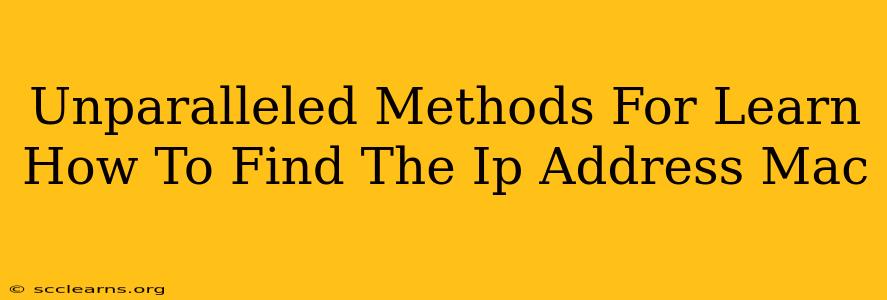 Unparalleled Methods For Learn How To Find The Ip Address Mac