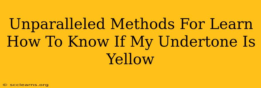 Unparalleled Methods For Learn How To Know If My Undertone Is Yellow