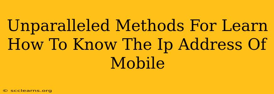 Unparalleled Methods For Learn How To Know The Ip Address Of Mobile