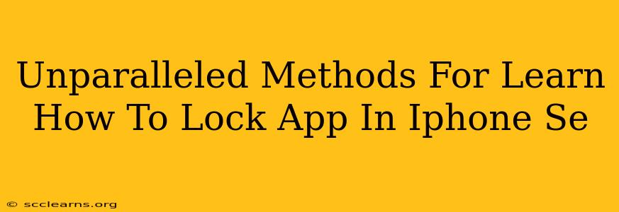 Unparalleled Methods For Learn How To Lock App In Iphone Se