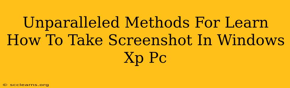 Unparalleled Methods For Learn How To Take Screenshot In Windows Xp Pc