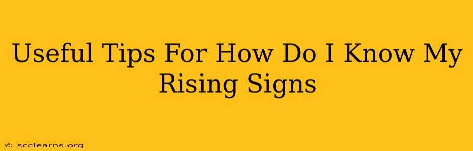 Useful Tips For How Do I Know My Rising Signs