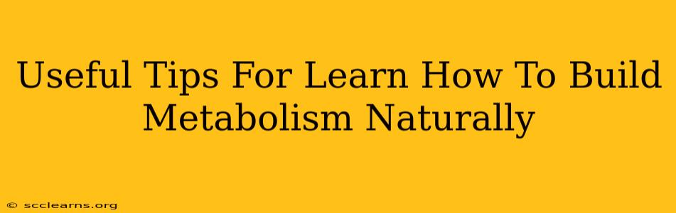 Useful Tips For Learn How To Build Metabolism Naturally