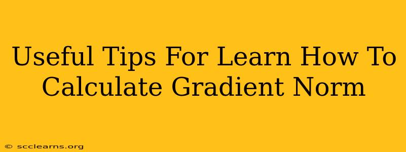 Useful Tips For Learn How To Calculate Gradient Norm