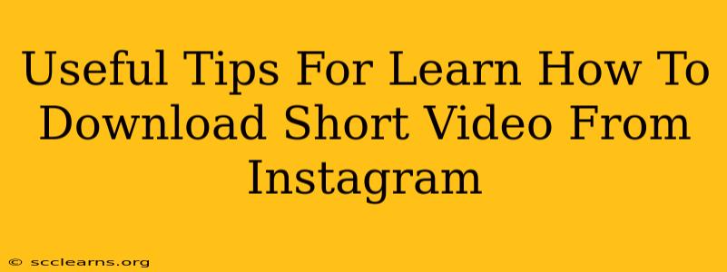 Useful Tips For Learn How To Download Short Video From Instagram