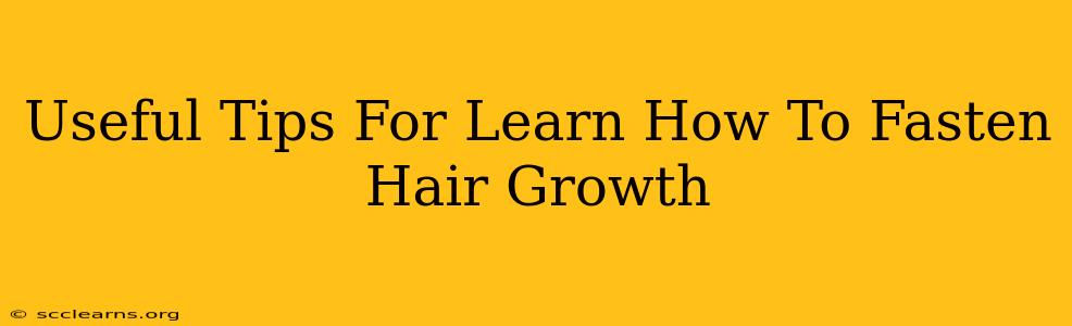 Useful Tips For Learn How To Fasten Hair Growth