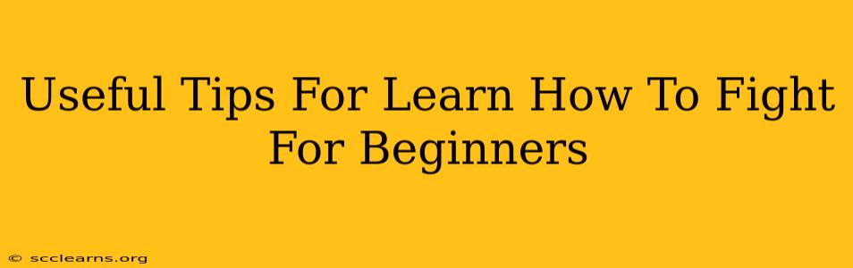 Useful Tips For Learn How To Fight For Beginners