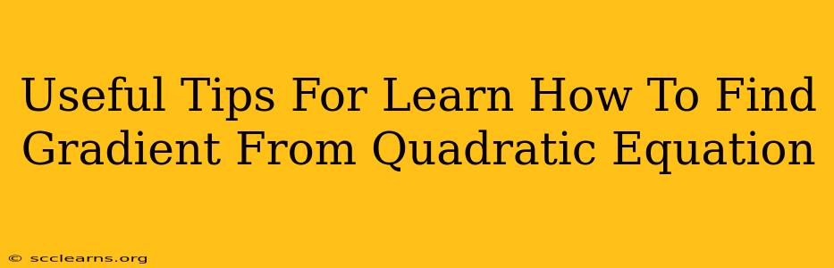 Useful Tips For Learn How To Find Gradient From Quadratic Equation