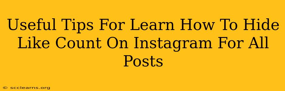 Useful Tips For Learn How To Hide Like Count On Instagram For All Posts