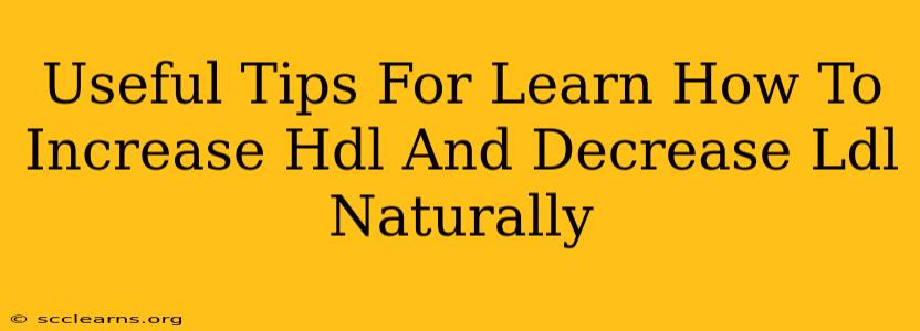 Useful Tips For Learn How To Increase Hdl And Decrease Ldl Naturally