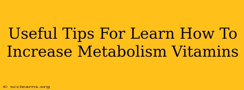 Useful Tips For Learn How To Increase Metabolism Vitamins