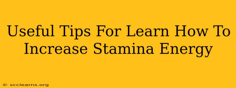 Useful Tips For Learn How To Increase Stamina Energy