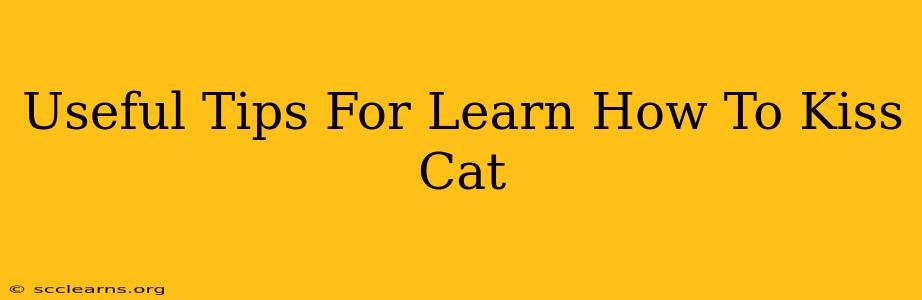 Useful Tips For Learn How To Kiss Cat