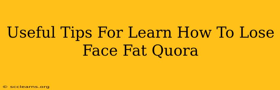 Useful Tips For Learn How To Lose Face Fat Quora