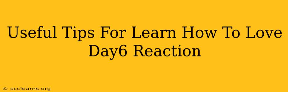 Useful Tips For Learn How To Love Day6 Reaction