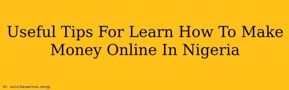 Useful Tips For Learn How To Make Money Online In Nigeria