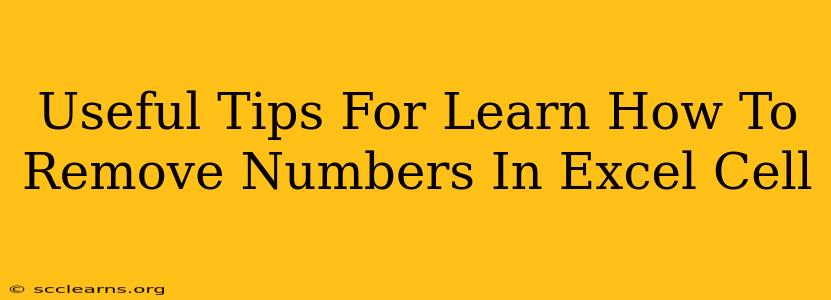 Useful Tips For Learn How To Remove Numbers In Excel Cell