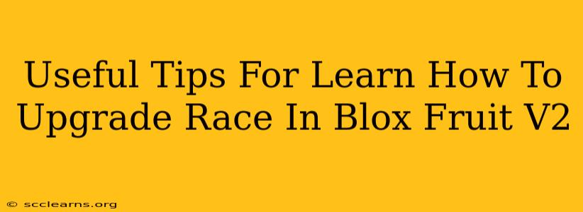 Useful Tips For Learn How To Upgrade Race In Blox Fruit V2