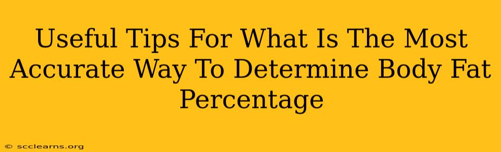 Useful Tips For What Is The Most Accurate Way To Determine Body Fat Percentage