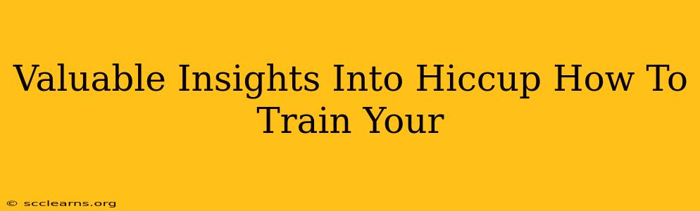 Valuable Insights Into Hiccup How To Train Your