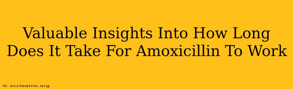 Valuable Insights Into How Long Does It Take For Amoxicillin To Work