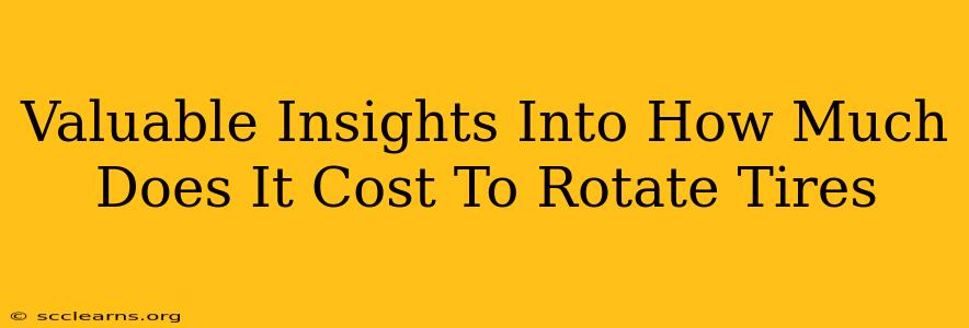 Valuable Insights Into How Much Does It Cost To Rotate Tires