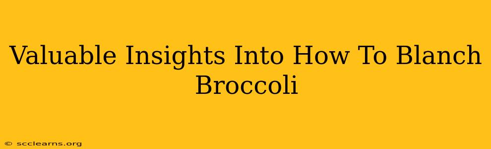 Valuable Insights Into How To Blanch Broccoli