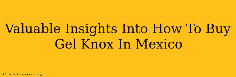 Valuable Insights Into How To Buy Gel Knox In Mexico