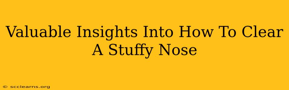 Valuable Insights Into How To Clear A Stuffy Nose