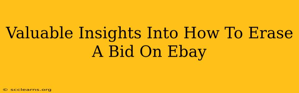 Valuable Insights Into How To Erase A Bid On Ebay