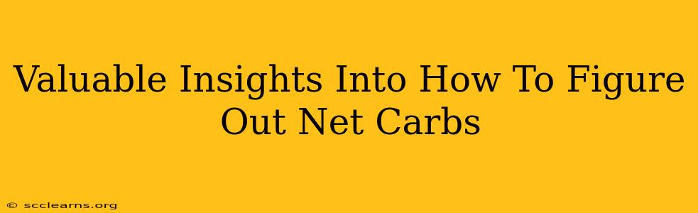 Valuable Insights Into How To Figure Out Net Carbs