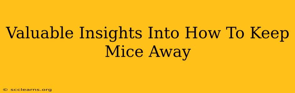 Valuable Insights Into How To Keep Mice Away