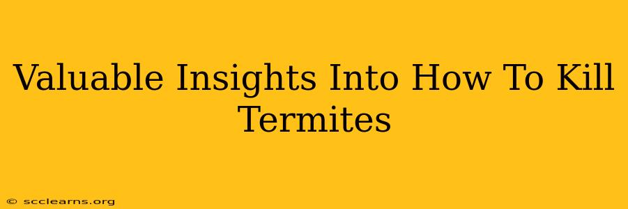 Valuable Insights Into How To Kill Termites