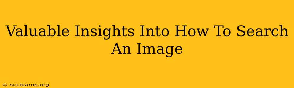 Valuable Insights Into How To Search An Image