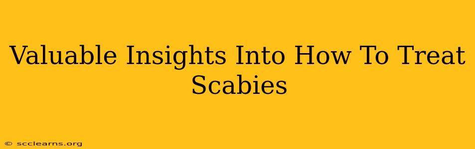 Valuable Insights Into How To Treat Scabies