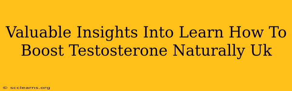 Valuable Insights Into Learn How To Boost Testosterone Naturally Uk