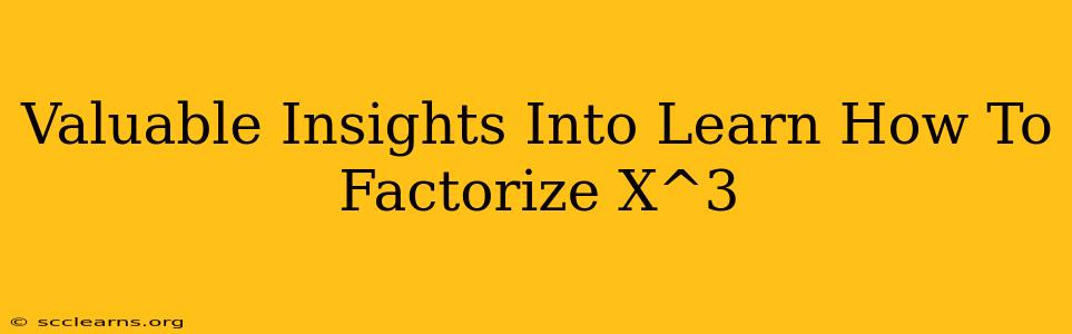 Valuable Insights Into Learn How To Factorize X^3