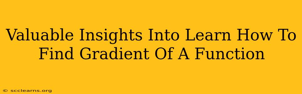 Valuable Insights Into Learn How To Find Gradient Of A Function