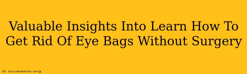 Valuable Insights Into Learn How To Get Rid Of Eye Bags Without Surgery