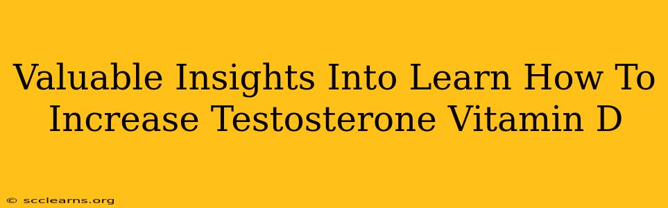 Valuable Insights Into Learn How To Increase Testosterone Vitamin D